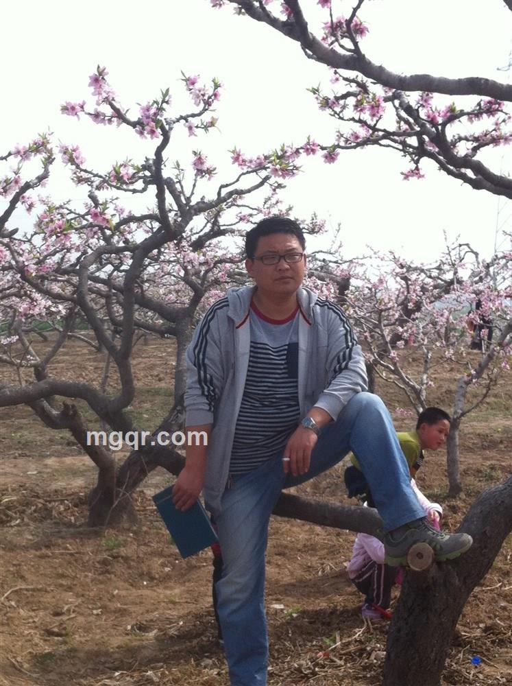 云淡风轻NO1的头像