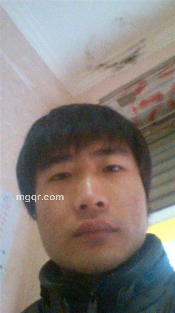 冬季礼赞 的头像