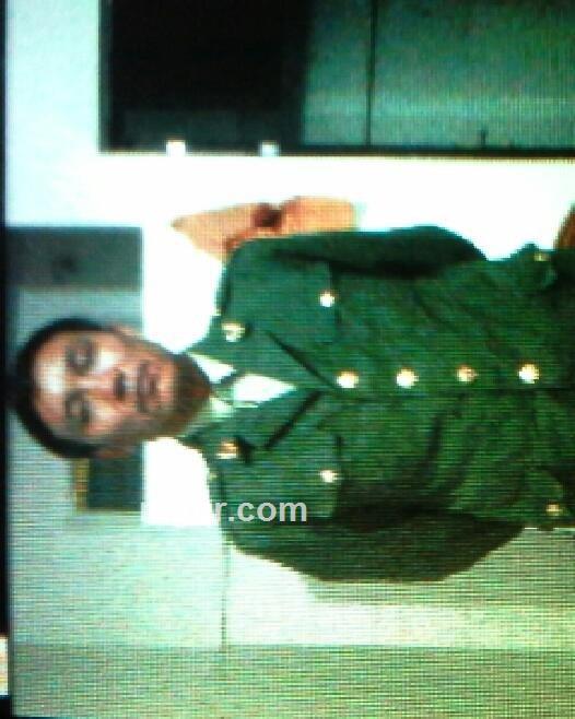 最笨的猫的头像