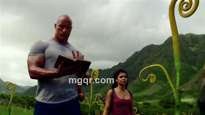 翠竹柳叶眉的头像