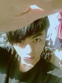 哪一温柔的头像