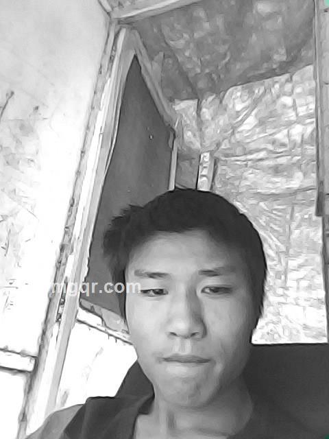 涛羽的头像
