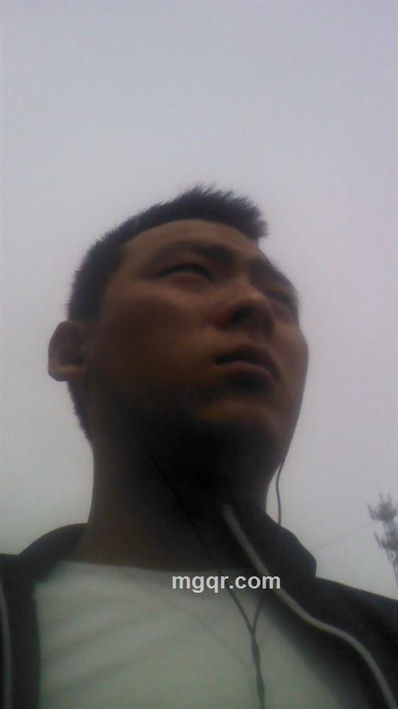 寻找伙伴的头像
