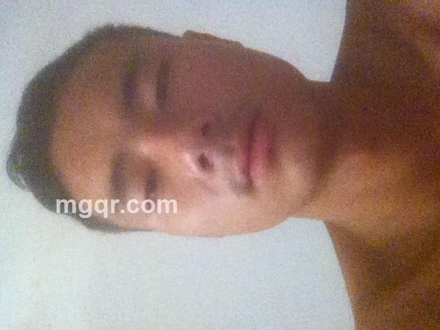 西伯利亚狼的头像