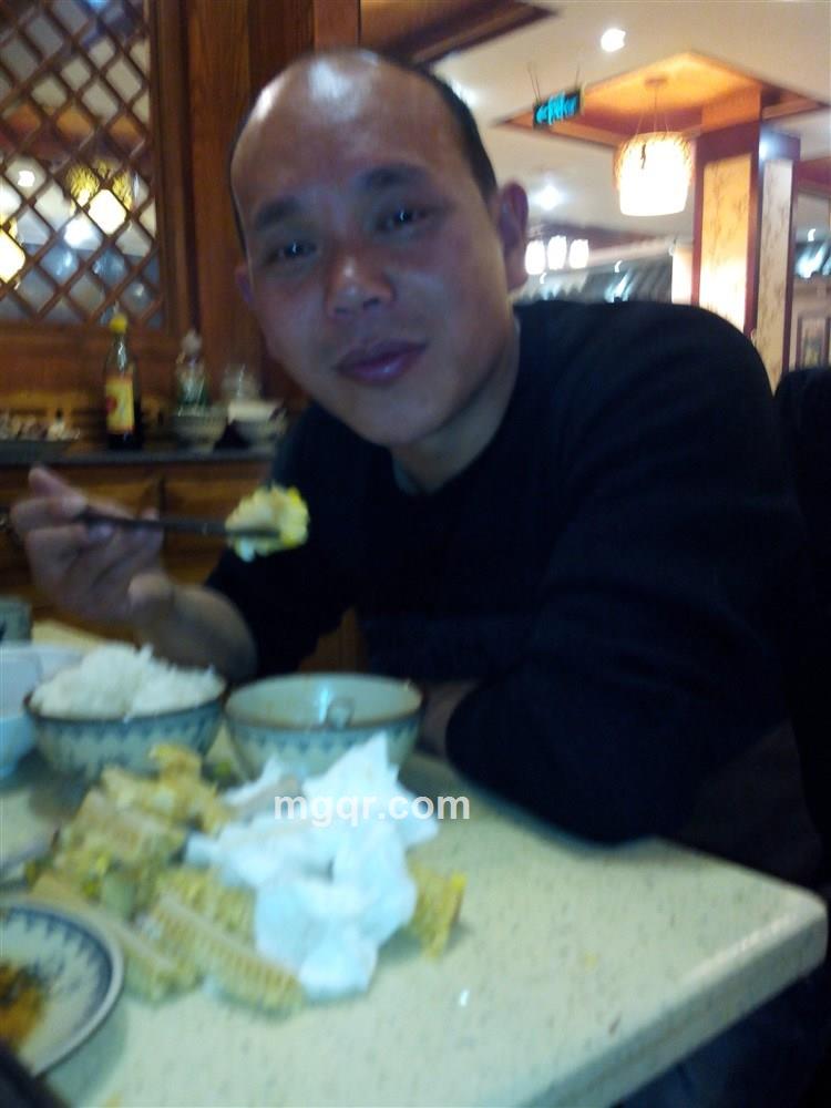 骚鸡的鸡的头像