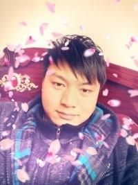 擎天柱神的头像