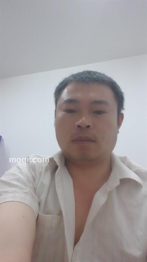 情木了的头像