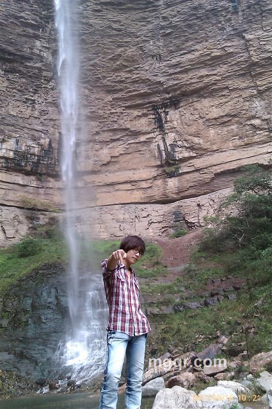 枫叶的哎的头像