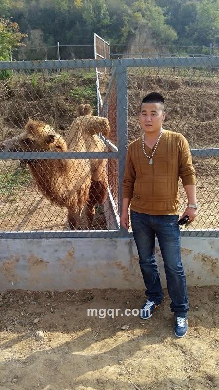 羅 先生°的头像