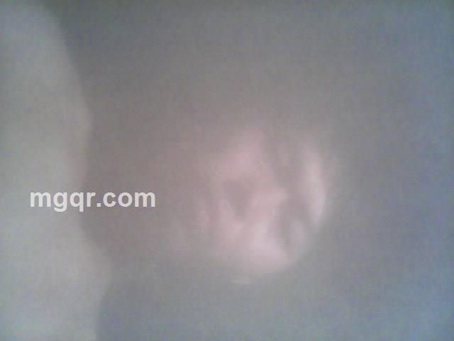 多情剑客的头像