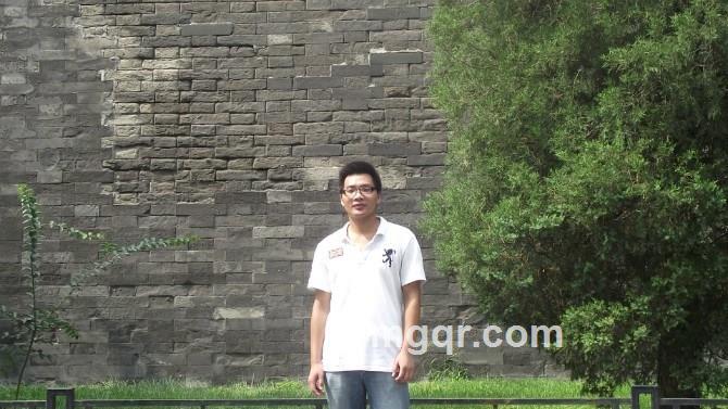 华丽狮子的头像