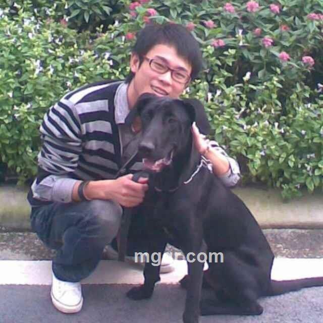 爱情是枷锁的头像