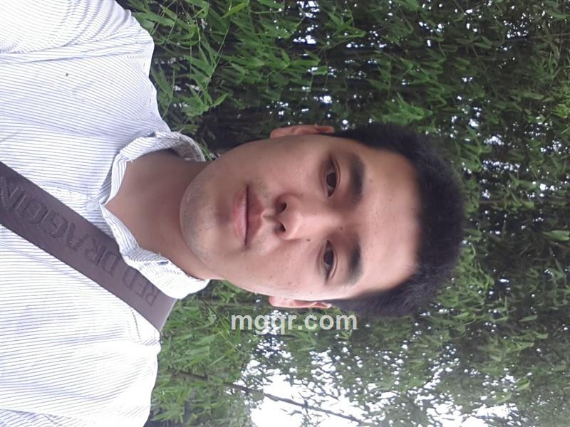 雨后的阳光的头像