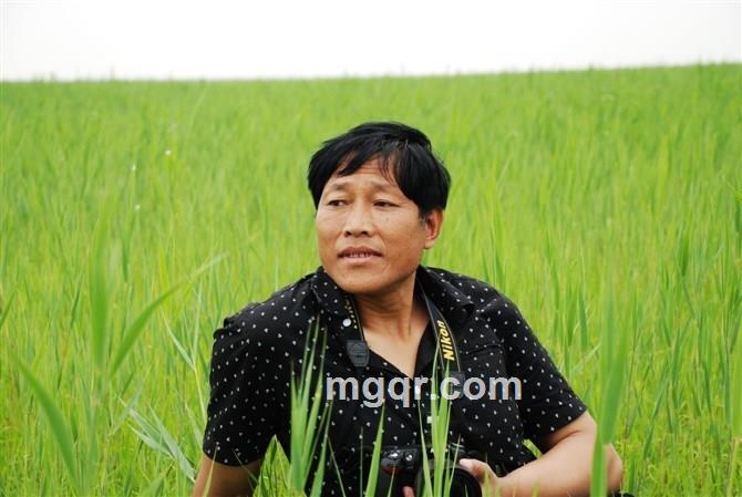 浪漫随缘情相牵的头像