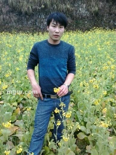 孤单的小虫的头像