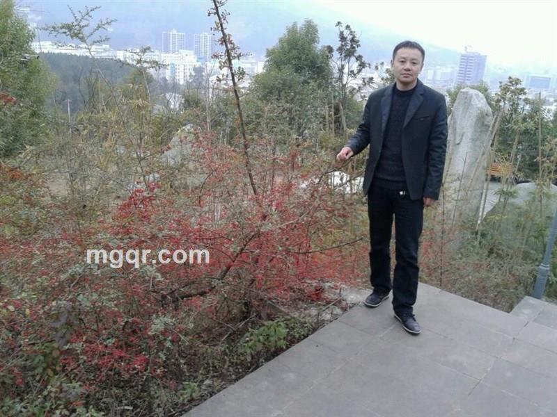 最后的枫叶123的头像