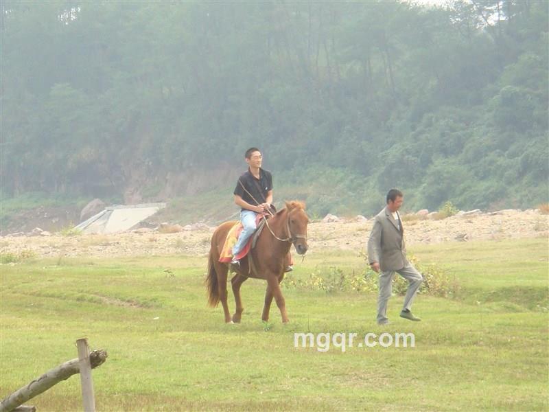 在路上371的头像