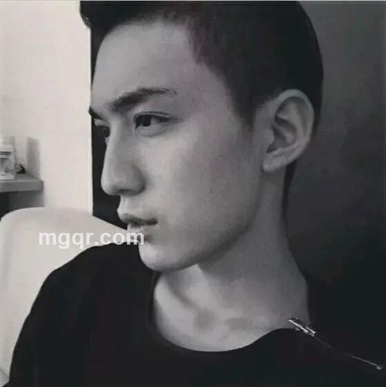 阿尔法狼的头像