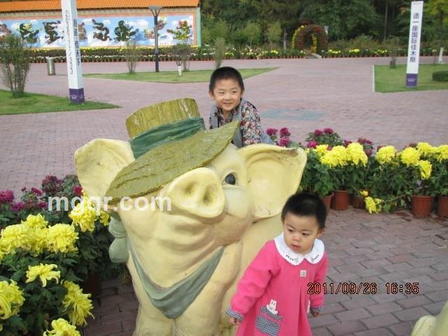 nanrenjiushishou的头像