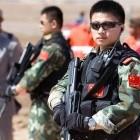 星碎不了情的头像