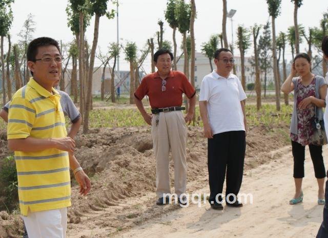 ]真情待真心】的头像