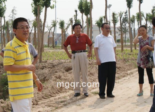 {真情待真心}two的头像