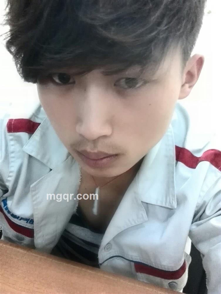 耗子扛刀满街找猫