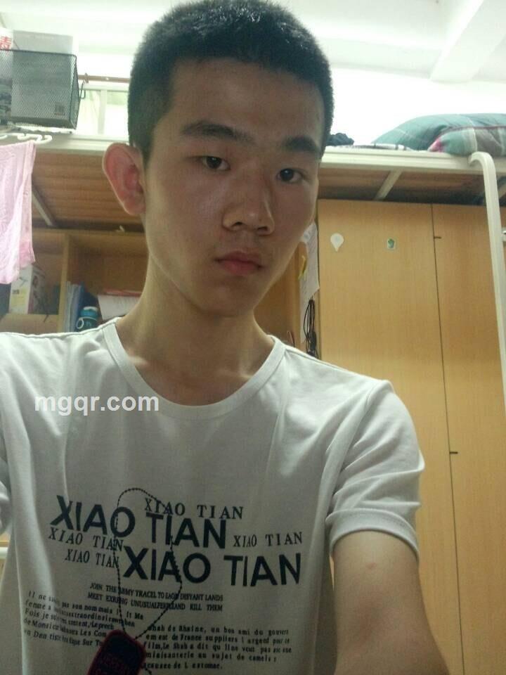 风语的人的头像