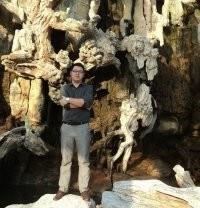 午夜看雪的头像