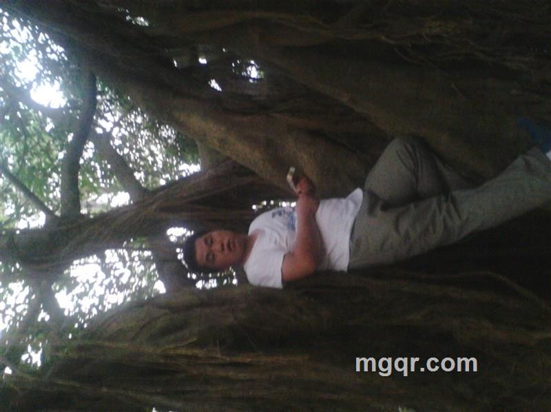 看不透你的心思的头像