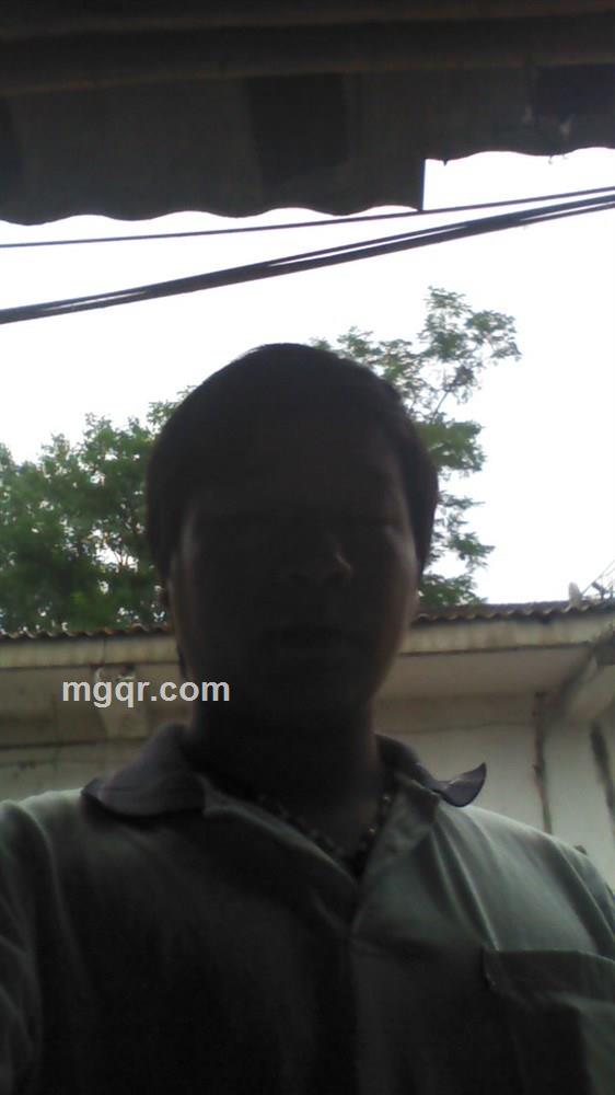 玫瑰奇缘的头像