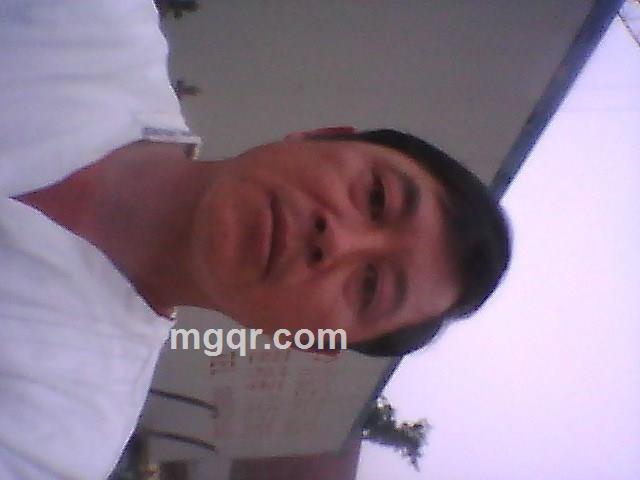 月上柳梢头的头像