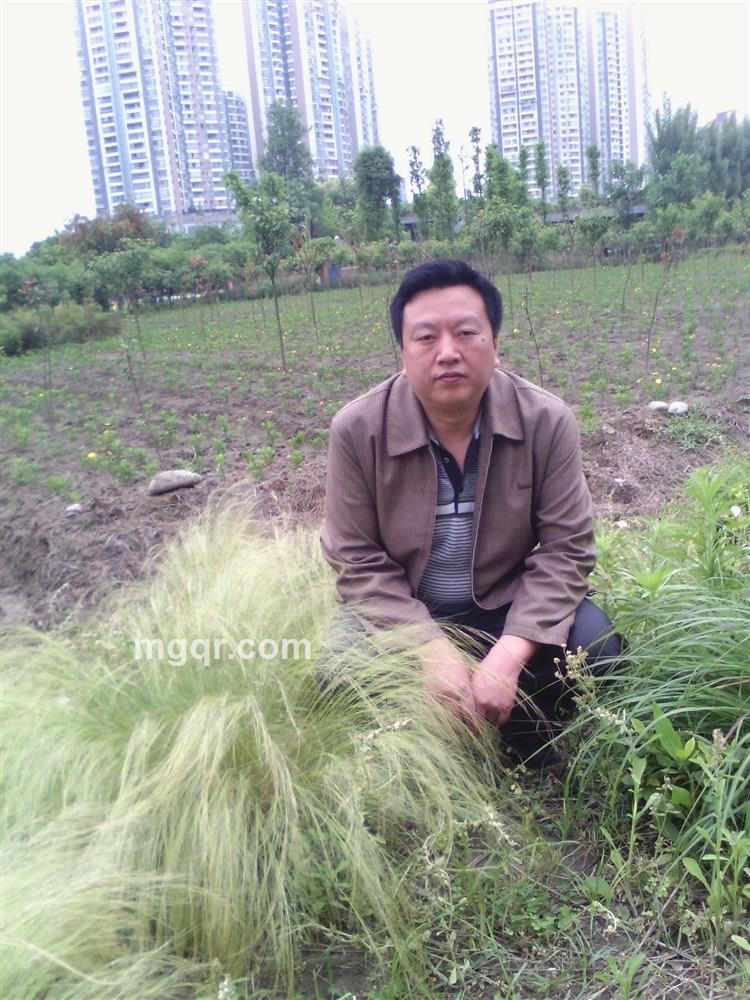 111luo111luo的头像