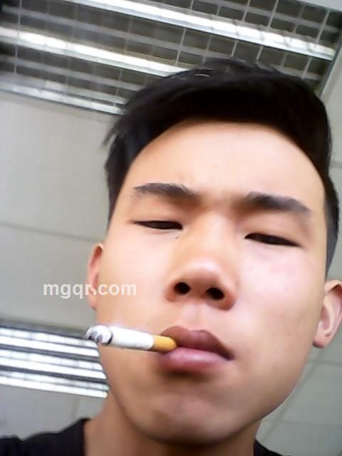 烟花易冷的头像