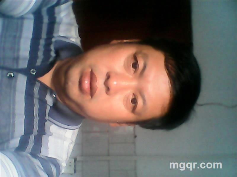 温柔的羊的头像