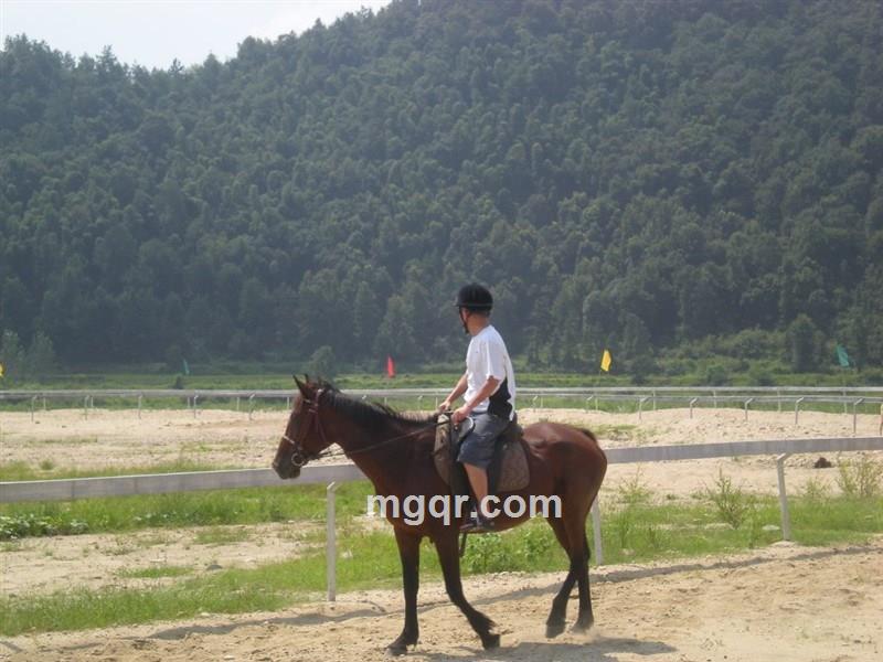 穿透红尘的头像