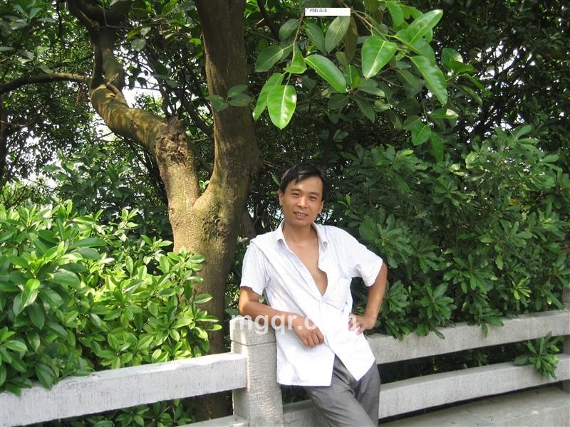 五月的天空的头像