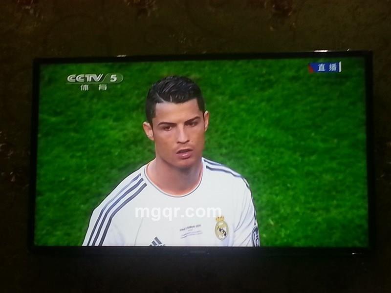 牵着狗遛鸟的头像