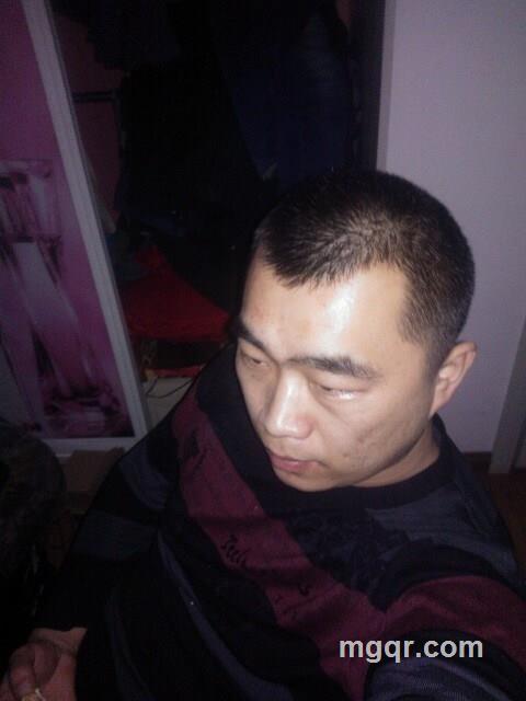 无叶之树的头像