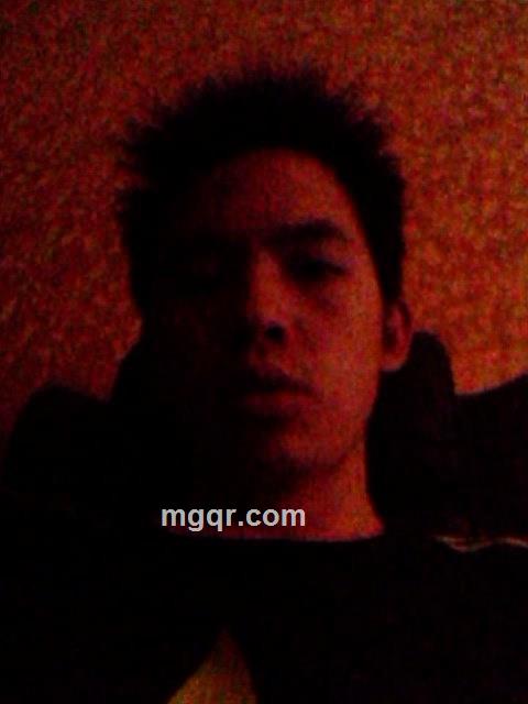 风雨后的彩虹的头像