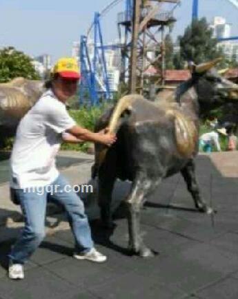 萝卜青菜的头像