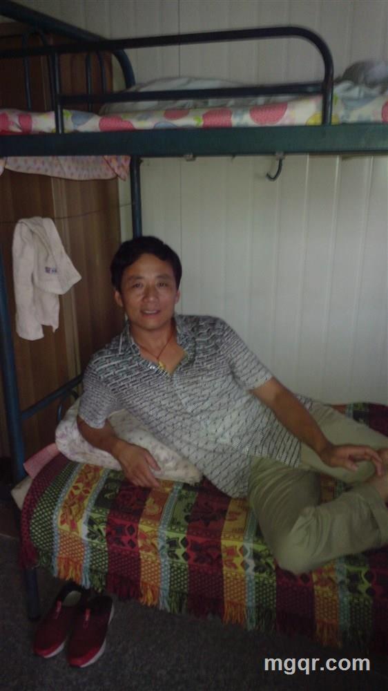 自由的头像