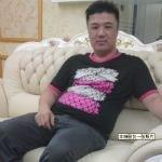 奔驰的马的头像