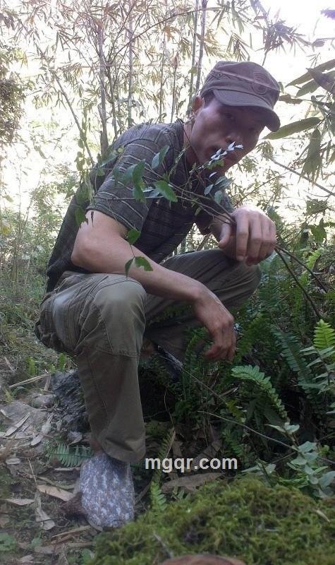 永远爱你的头像