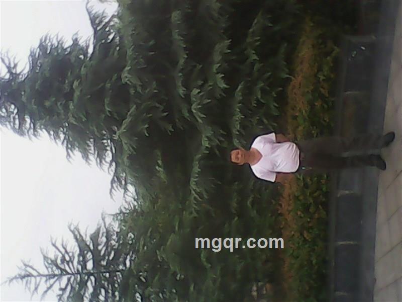 会员2848267的头像