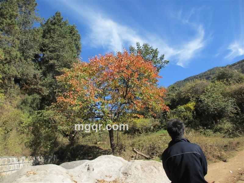 小溪潺潺的头像