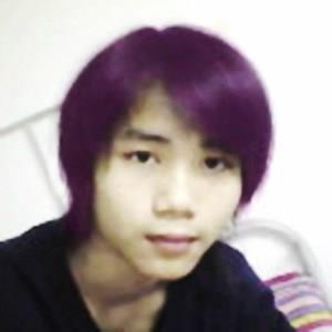 爱吃波波糖的头像