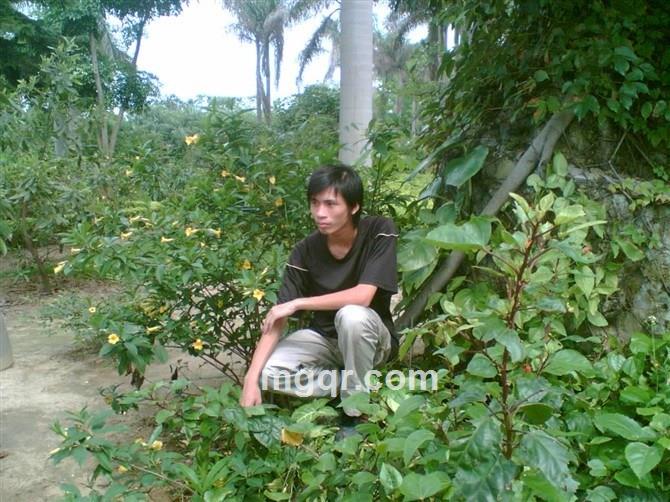 为了你也来的头像