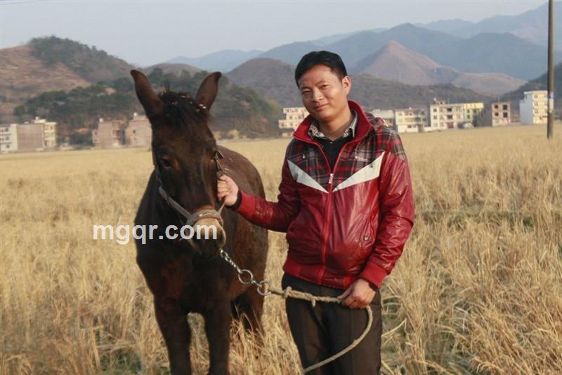 爱无怨无悔0的头像