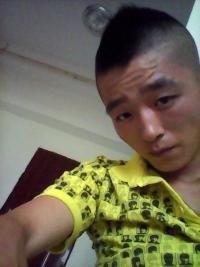 qiyingzhi的头像